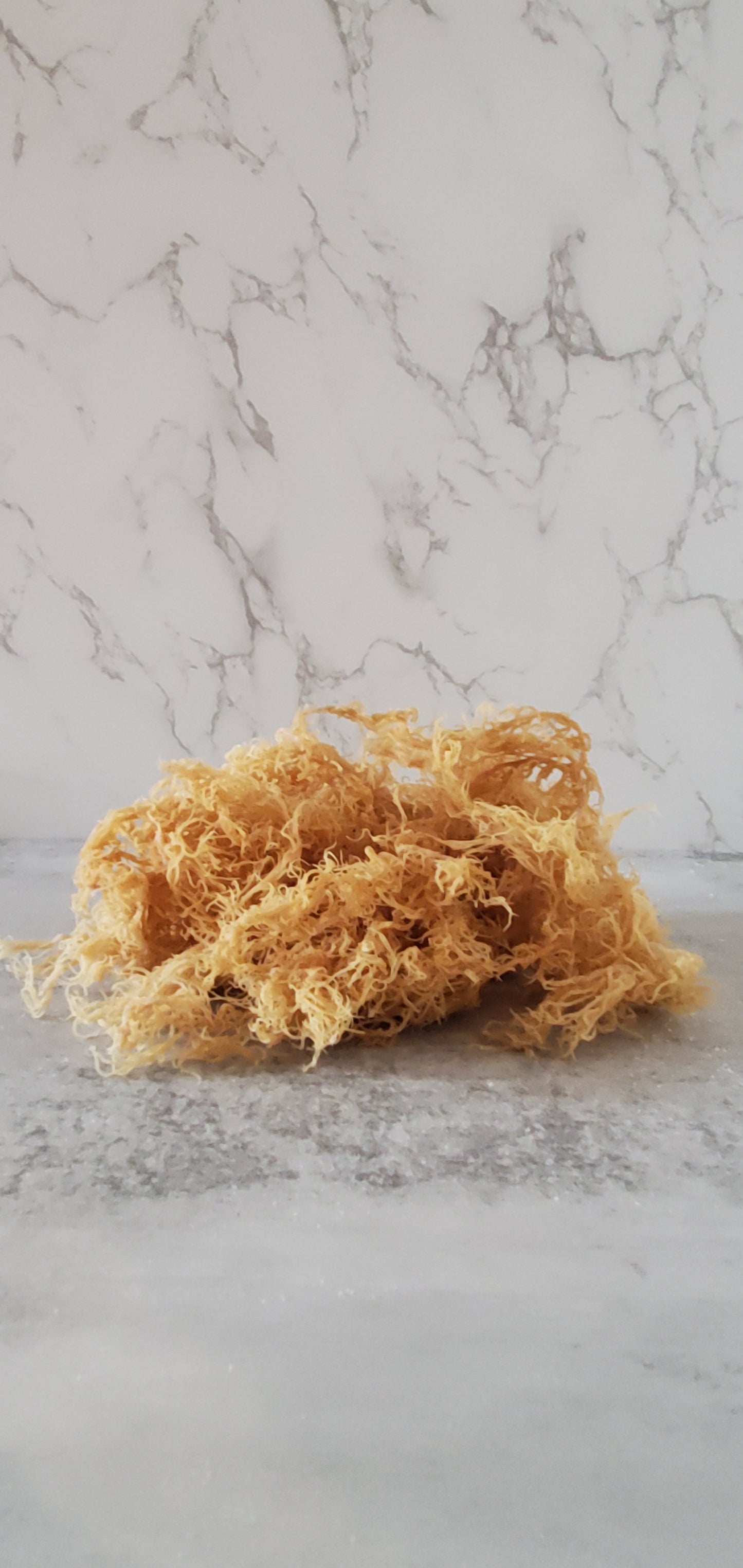 Wildcrafted Gold Sea Moss (Raw)