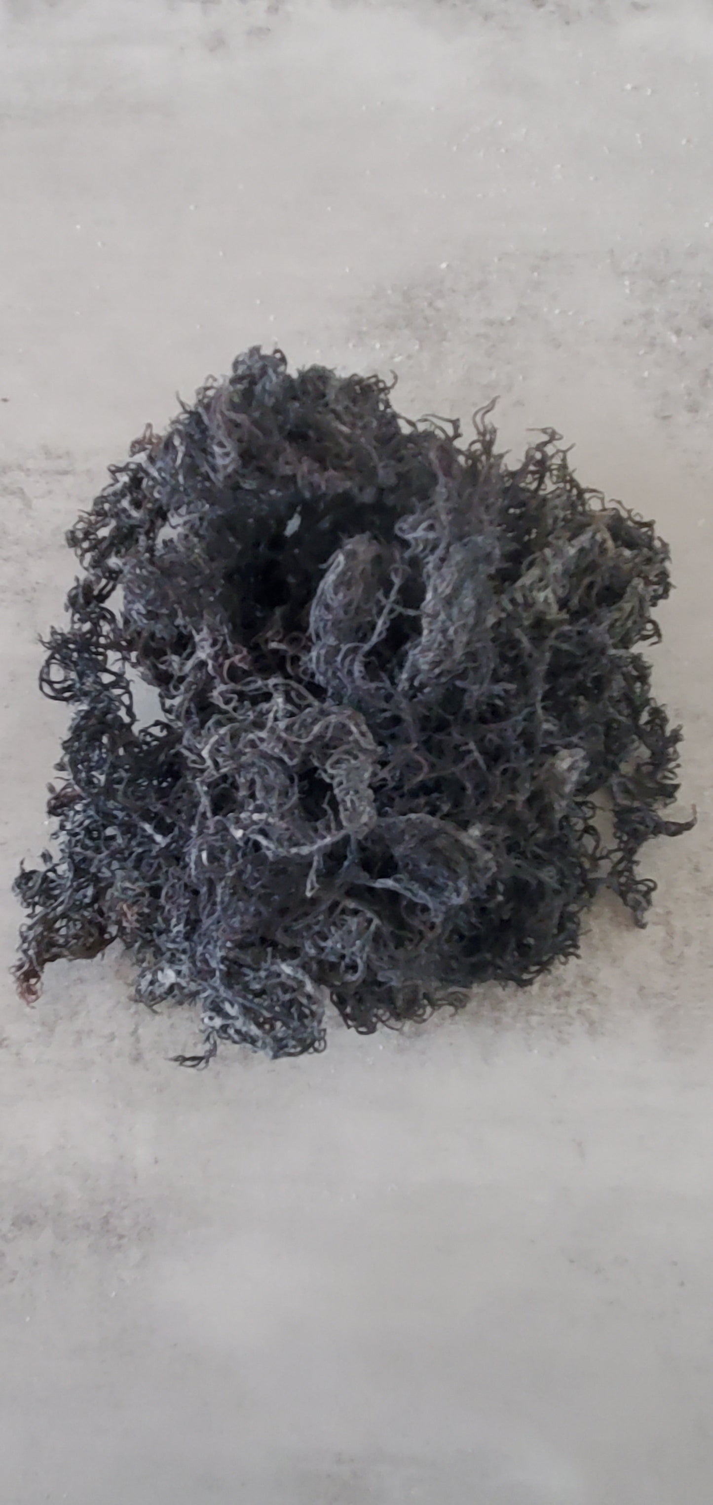 Wildcrafted Green Sea Moss (Raw)