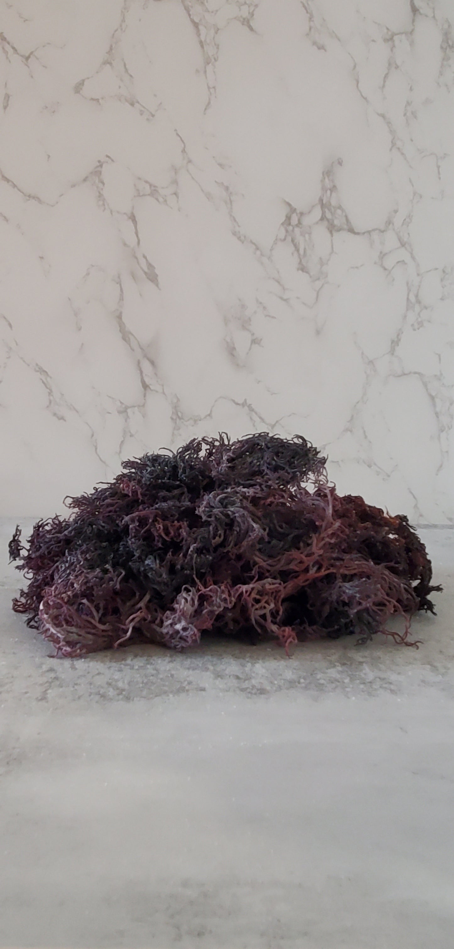 Wildcrafted Purple Sea Moss (Raw)